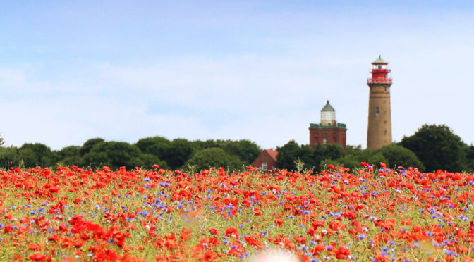 Insel Rügen, Leuchtturm und Mohnfeld